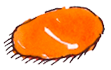 Palette color orange