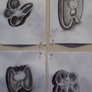 Student Drawings 2009 41