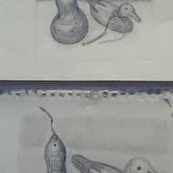 Student Drawings 2009 54