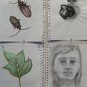 Student Drawings 2009 60