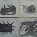 Student Drawings 2009 82