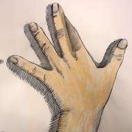Hands 7